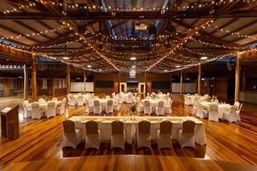 Round Table Gold Theme